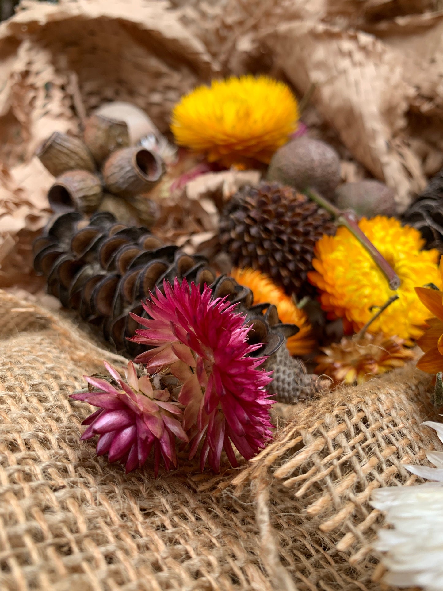 Mixed Everlasting Nature Box